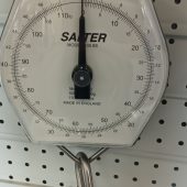 Salter 50kg x 200g Dial Hanging Scales