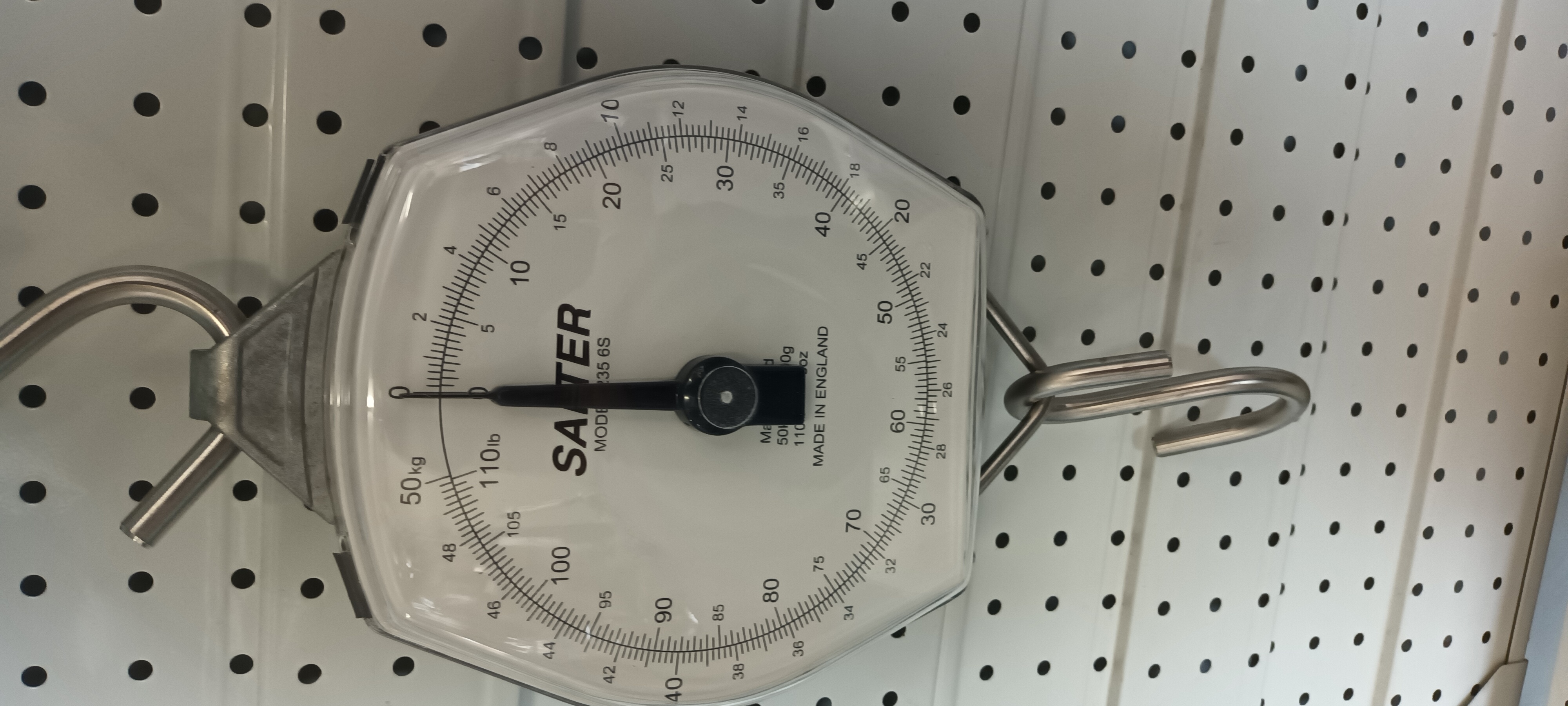Salter 50kg x 200g Dial Hanging Scales