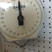 Salter 25kg x 100g Dial Hanging Scales